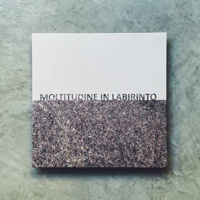 Gigi Masin & Giuseppe Caprioli - Moltitudine in labirinto [LP]