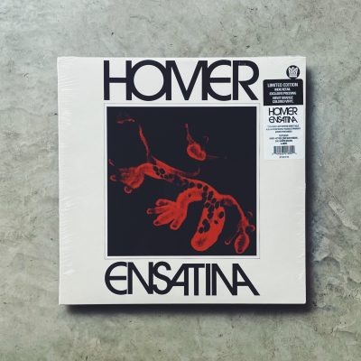 Homer - Ensatina (Indie Exclusive) [LP_Color]