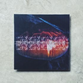 mu tate - wanting less [LP_Color]