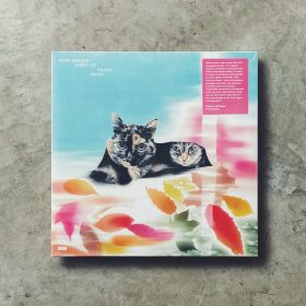 Eddie Marcon / ゑでぃまぁこん - Carpet Of Fallen Leaves [2LP]