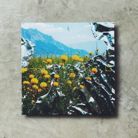 N Kramer & Magnus Bang Olsen - Pastoral Blend [LP]