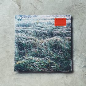 Steve Gunn - Music For Writers [LP_Color]