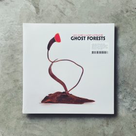 Meg Baird & Mary Lattimore - Ghost Forests [LP_Color]