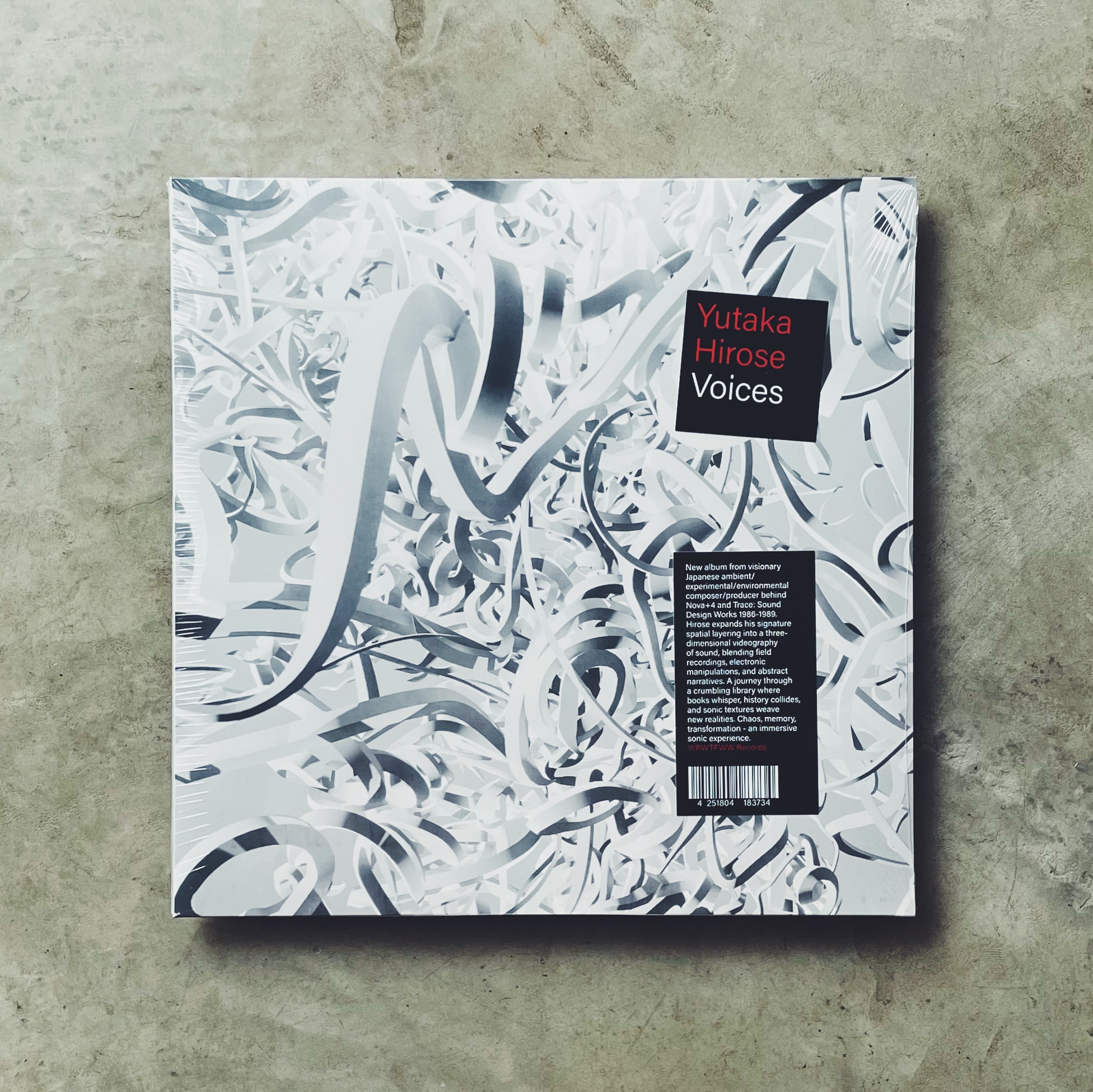 アート・デザイン・音楽 STUDIO VOICE ULTIMATE LISTENER'S FILE Voices | Yutaka Hirose | WRWTFWW Records