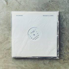 Ana Roxanne - Because of a Flower [LP]