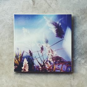 Benoît Pioulard - Stanza IV [LP_Color]