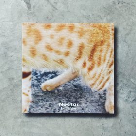 Dublon - Nectar [12inch / EP]