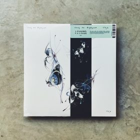 Harry The Nightgown - Ugh [LP]