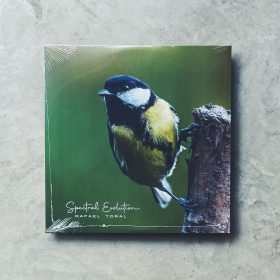 Rafael Toral - Spectral Evolution [LP]