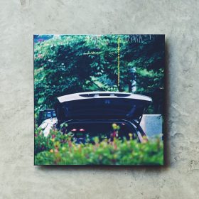 石橋英子 Eiko Ishibashi & Jim O'Rourke - Pareidolia [LP]