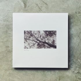 Marius Nitzbon - Birds are my Friends [LP]