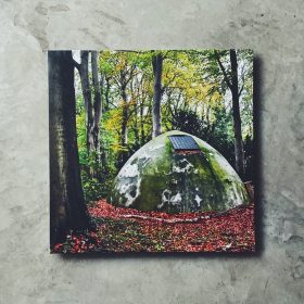 In Transit - In Transit [LP]