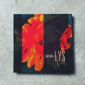 Stefano Guzzetti - Lys [LP]