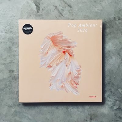 Are Various Artists Compilations Still Relevant in 2026?