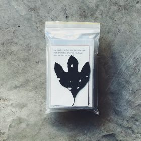 zander raymond - courage left in a tree [CS]