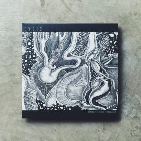 cv313 - Dimensional Space [Remastered] [3LP]