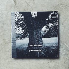 Archy Marshall / King Krule - A New Place 2 Drown (Instrumentals) [LP]