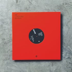 The Gondwana Orchestra (feat. Dwight Trible) - Colors [12inch / EP]