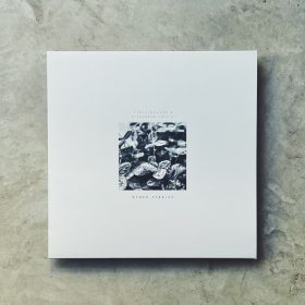 Pablo Bolivar & Alexandra Savvidi - Other Stories [LP]